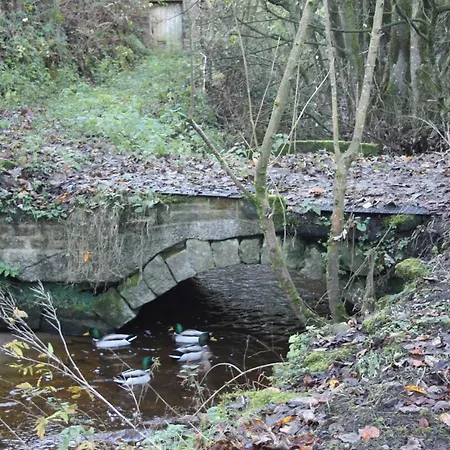 בית נופש Squirrel