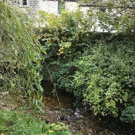 Squirrel בית נופש