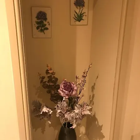 Squirrel בית נופש *